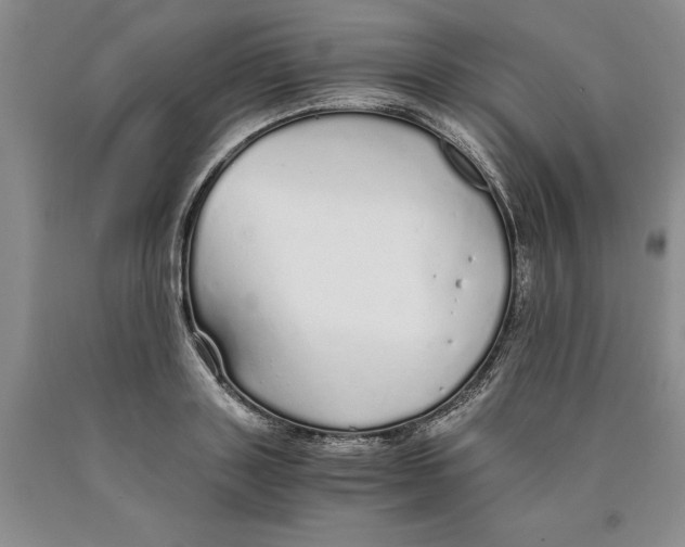 X0000089930843200707271756