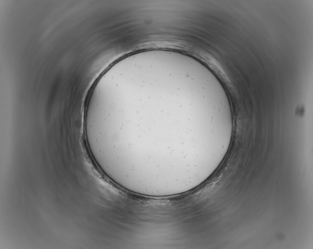 X0000089930844200707271756