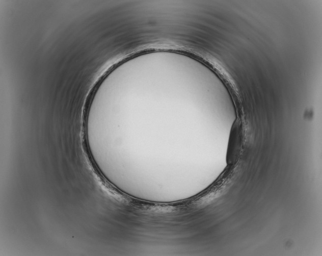 X0000089930845200707271756