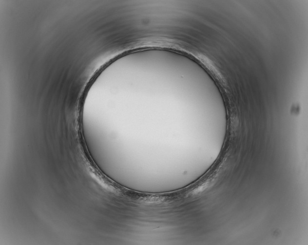 X0000089930846200707271756