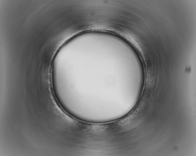 X0000089930847200707271756