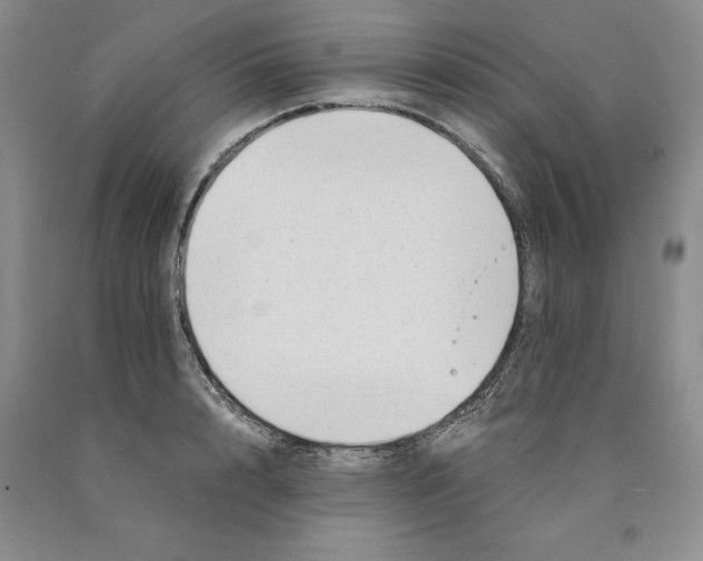 X0000089930848200707271756