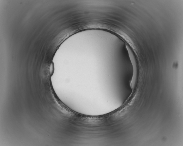 X0000089930849200707271756