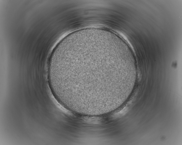 X0000089930851200707271756