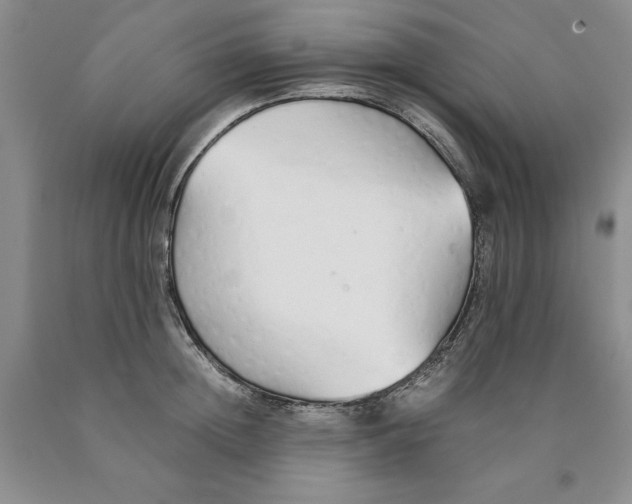 X0000089930852200707271756