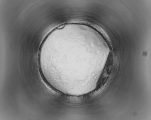 X0000089930855200707271756