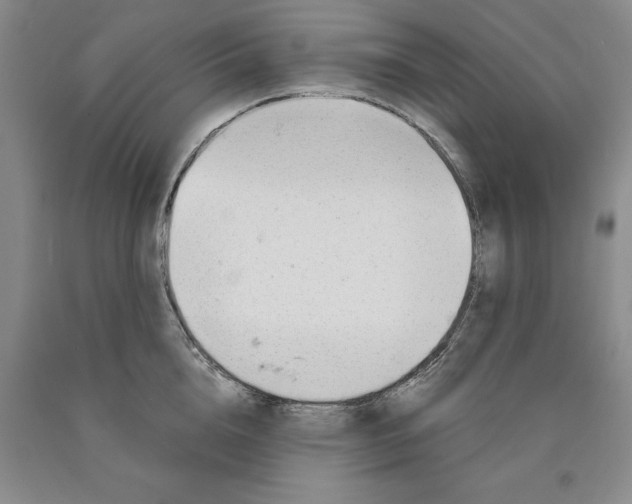 X0000089930856200707271756