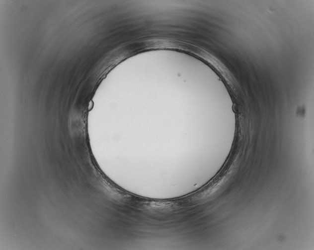 X0000089930857200707271756