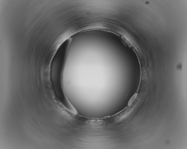 X0000089930858200707271756