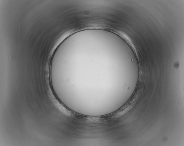 X0000089930859200707271756