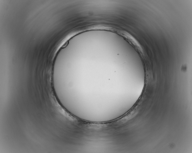 X0000089930860200707271756