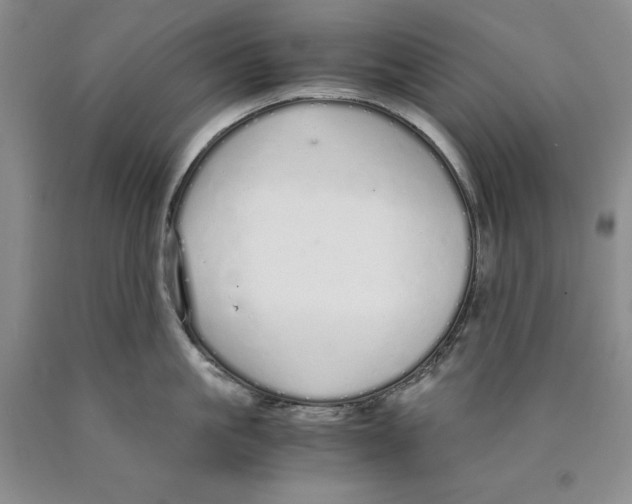 X0000089930861200707271756