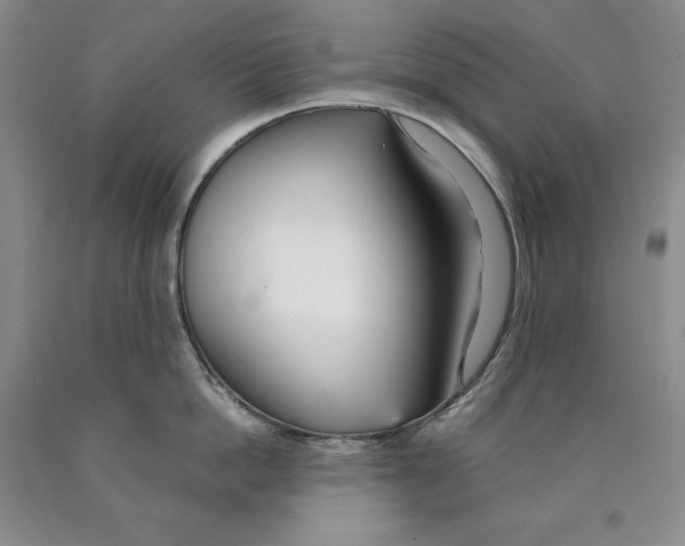 X0000089930862200707271756