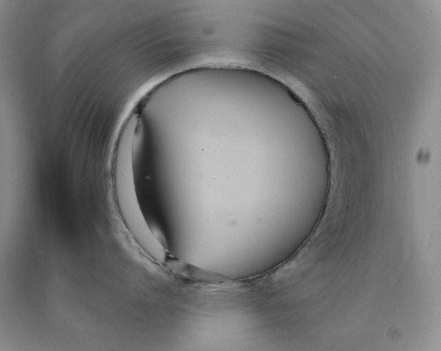 X0000089930864200707271756