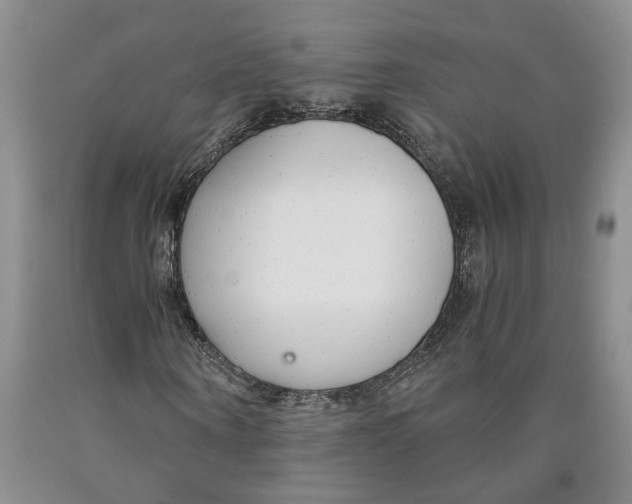 X0000089930866200707271755