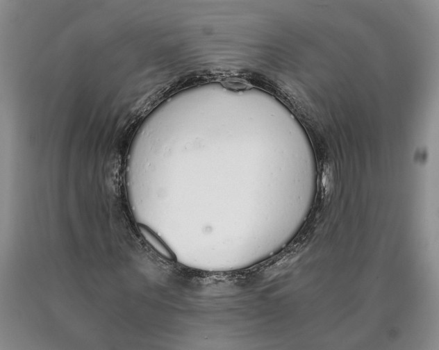 X0000089930867200707271755