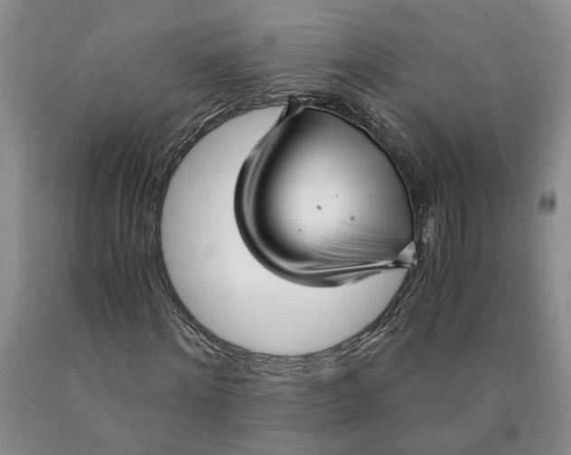 X0000089930868200707271755