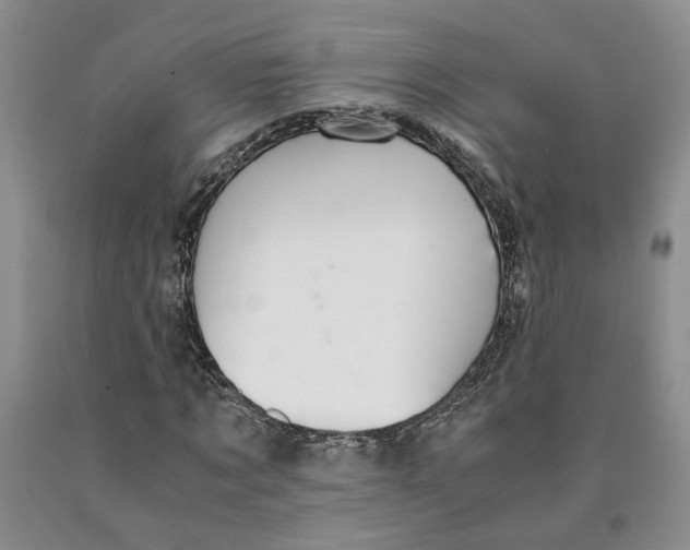 X0000089930869200707271755