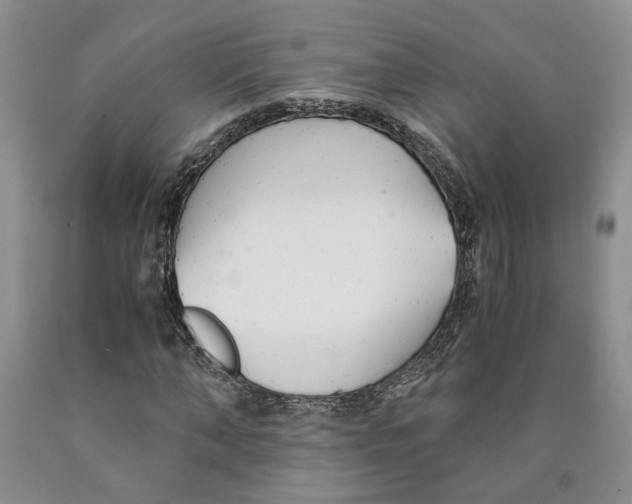 X0000089930870200707271755