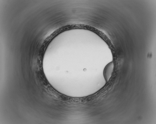 X0000089930871200707271755