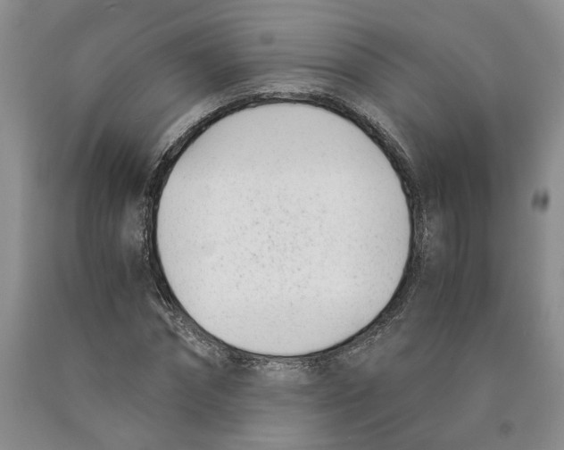 X0000089930874200707271755