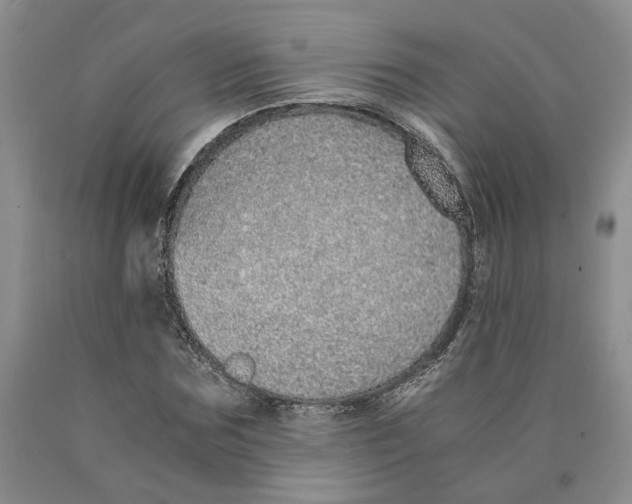 X0000089930875200707271755