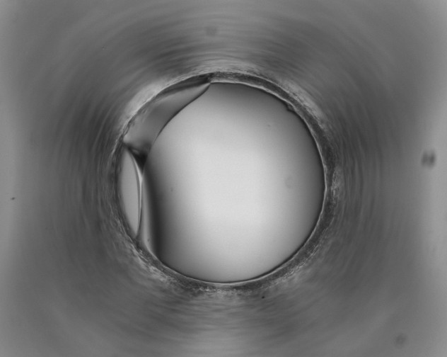 X0000089930877200707271755