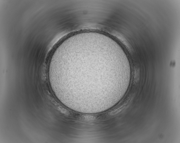 X0000089930878200707271755