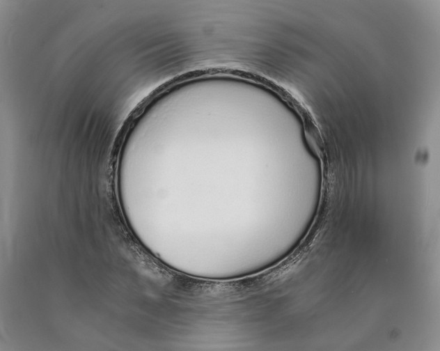 X0000089930879200707271755