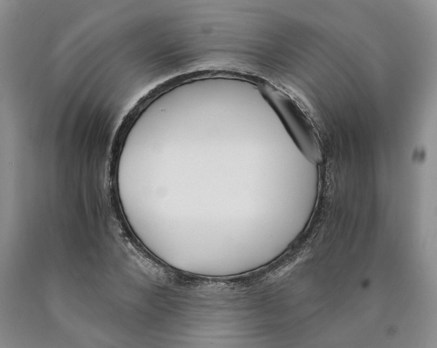 X0000089930880200707271755