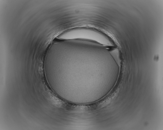 X0000089930881200707271755