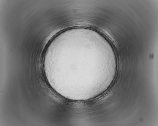 X0000089930883200707271755