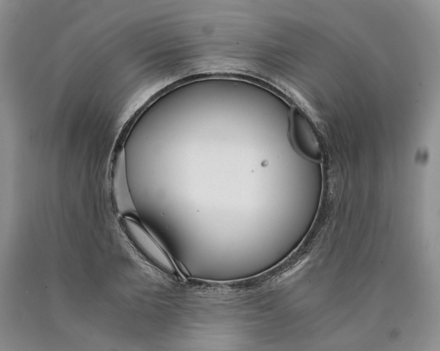 X0000089930885200707271755