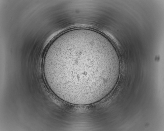 X0000089930886200707271755