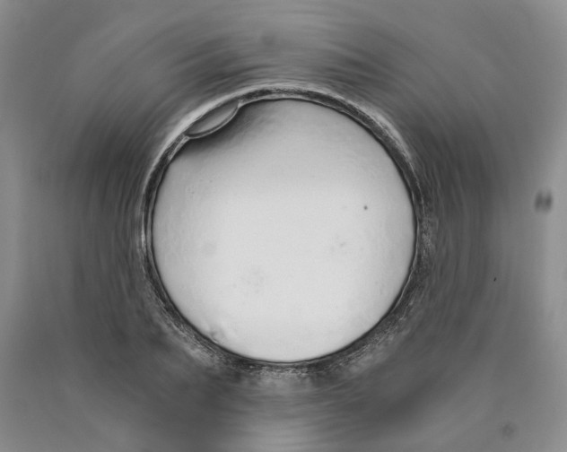 X0000089930887200707271755