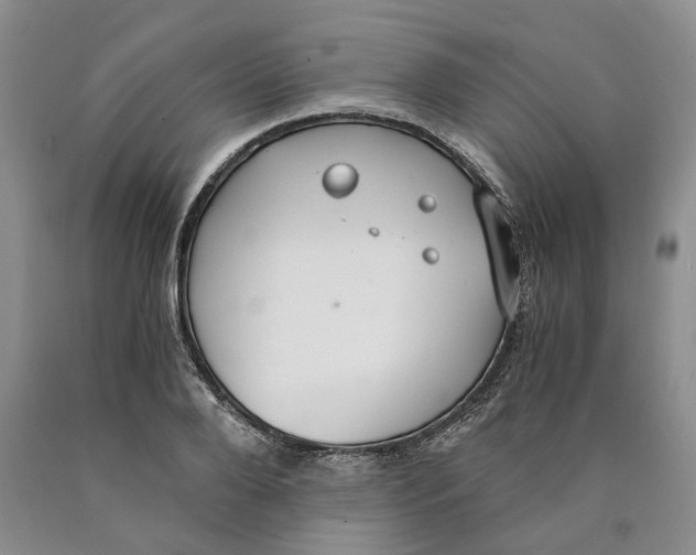 X0000089930888200707271755