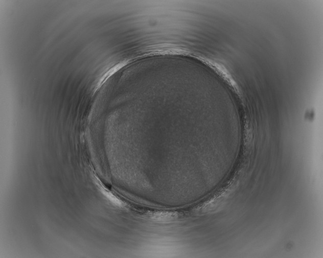 X0000089930889200707271755