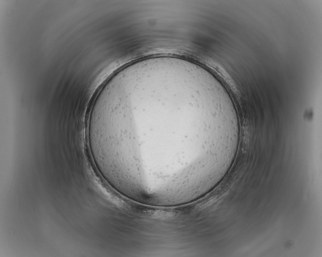 X0000089930890200707271755