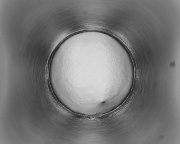 X0000089930891200707271755