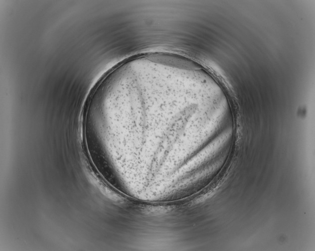 X0000089930892200707271755