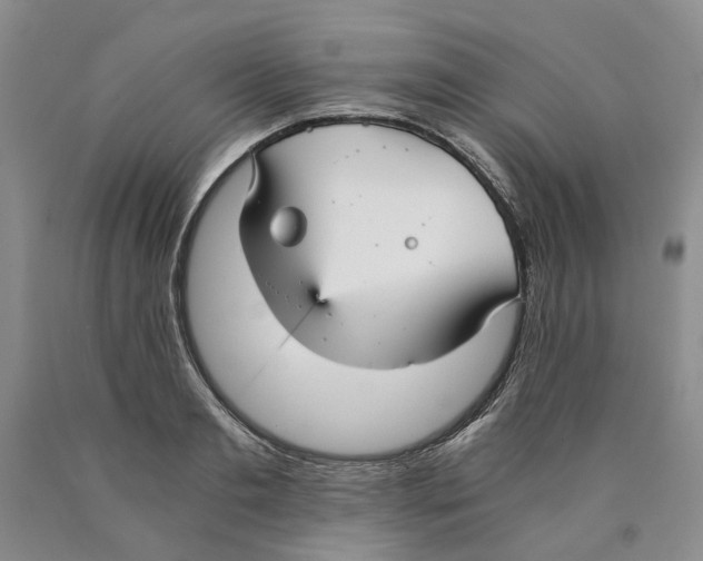 X0000089930893200707271755