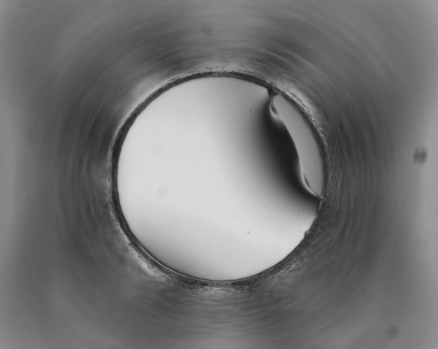 X0000089930894200707271755