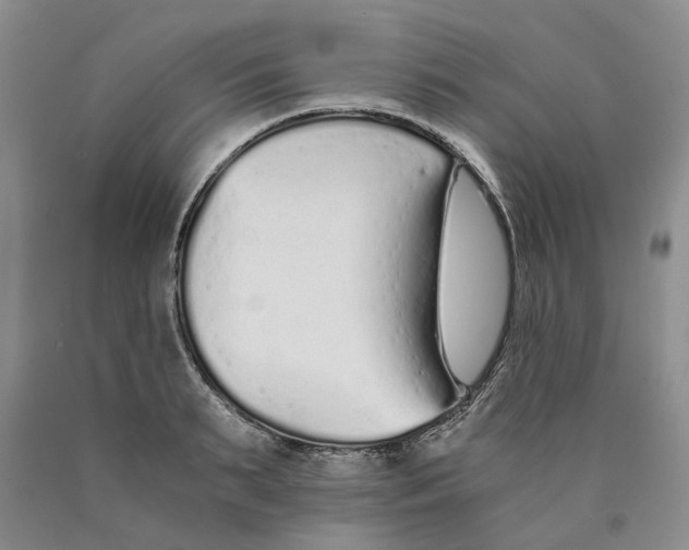 X0000089930895200707271755