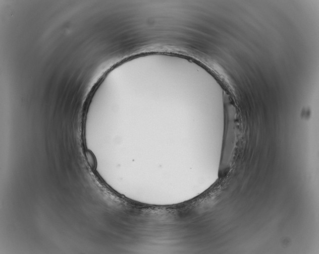 X0000089930896200707271755