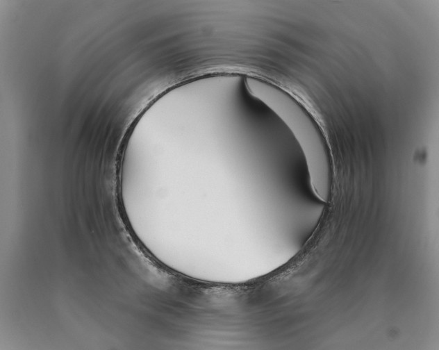 X0000089930898200707271755