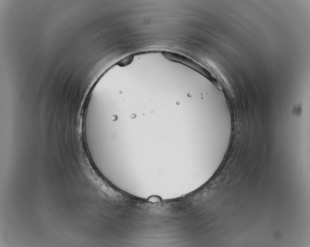 X0000089930900200707271755