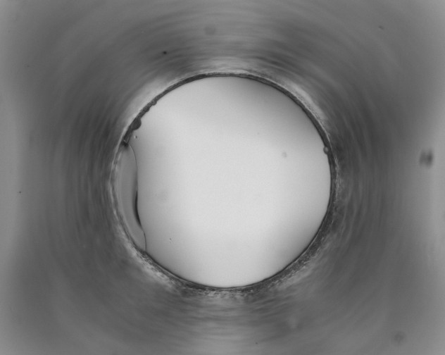 X0000089930901200707271755