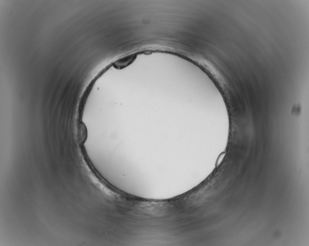 X0000089930902200707271755