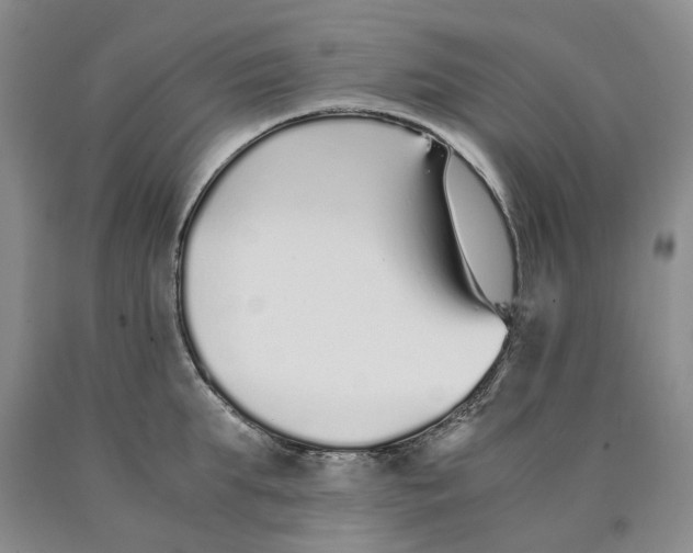 X0000089930903200707271755