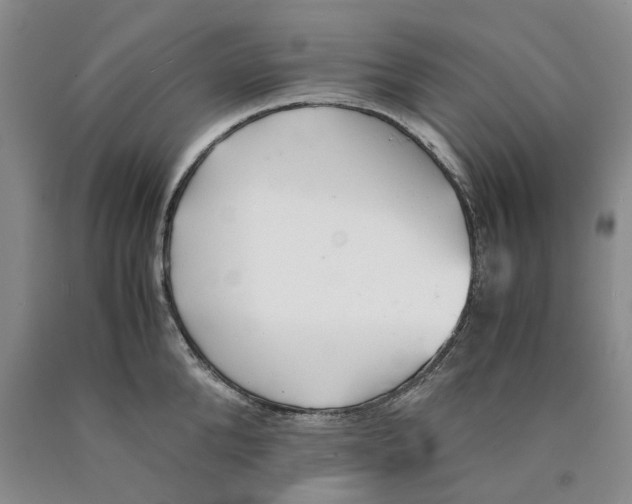 X0000089930904200707271755